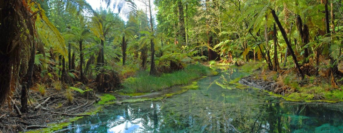 Rotorua photography tour